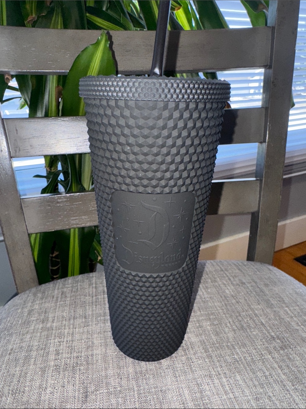 Disney Parks 2022 Disneyland  Black Studded Starbucks Tumbler